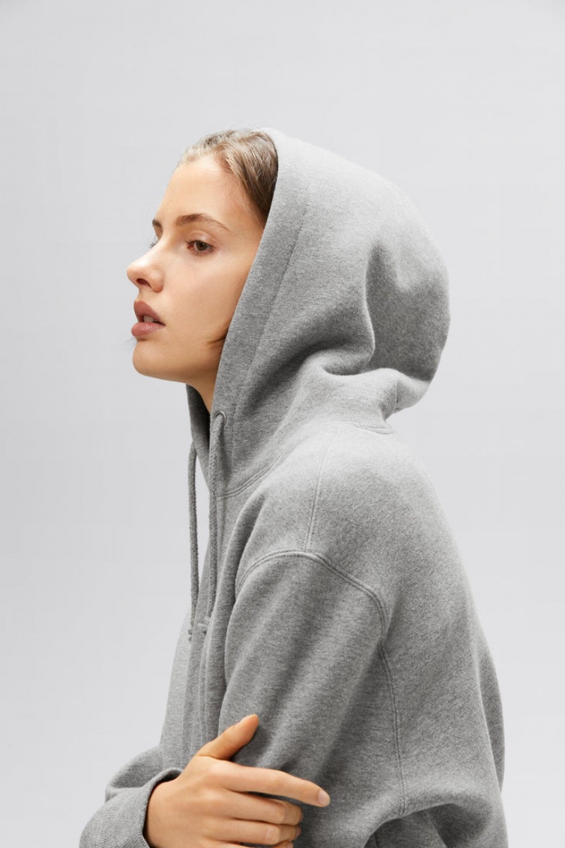 Sweat a Capuche Alpha Industries Essential Grise Femme | UJQ-56904985