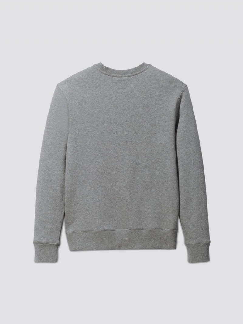 Sweat a Capuche Alpha Industries Essential Crewneck Grise Homme | RZJ-67727558