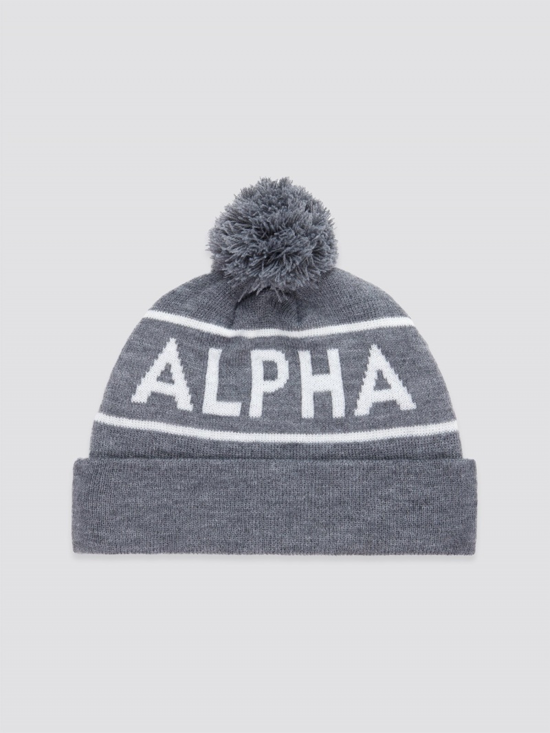 Chapeaux Alpha Industries Essential Pom Accessories Grise | HBG-23763928